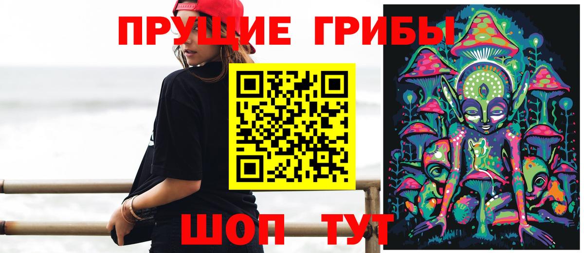 Конаково  Псилоцибиновые грибы прущие грибы  Вход с VPN 